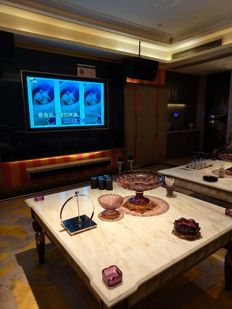 葫芦岛中低端商务ktv盛行-建昌县ktv预定